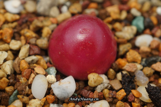 梦想清单 | Dream List